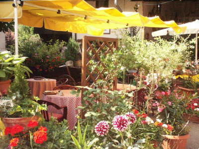 Schwanenwirts Garten