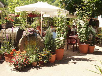 Schwanenwirts Garten